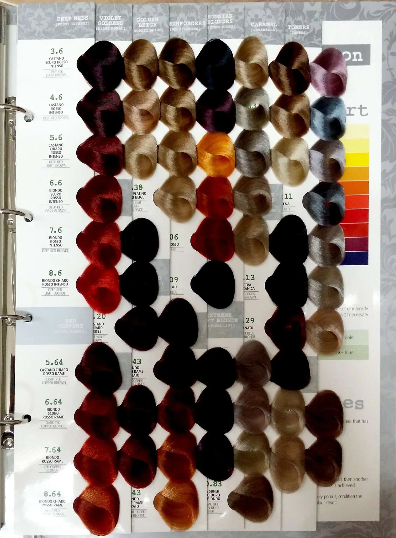 Jeval Hair Color 100ml