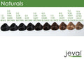 Jeval Hair Color 100ml